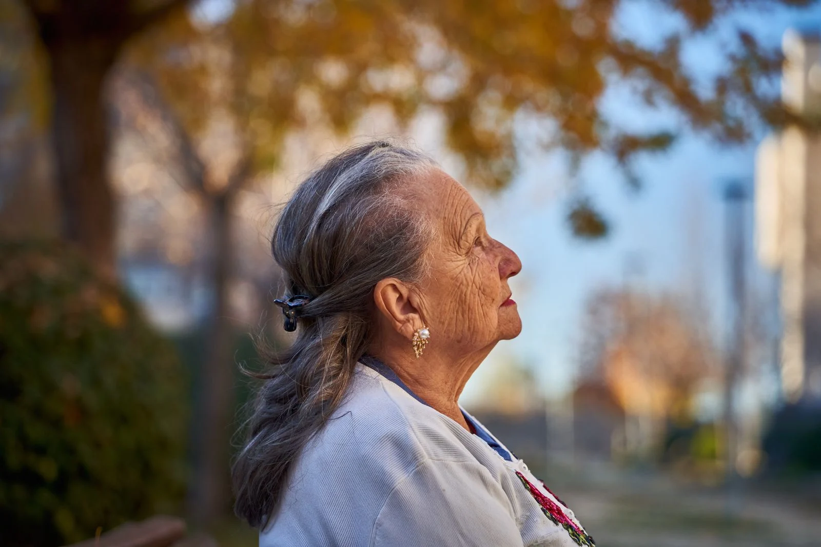Mutuelle Sante Senior : Side profile portrait of a senior woman in a sunny autumn park, San Sebastián de los Reyes.