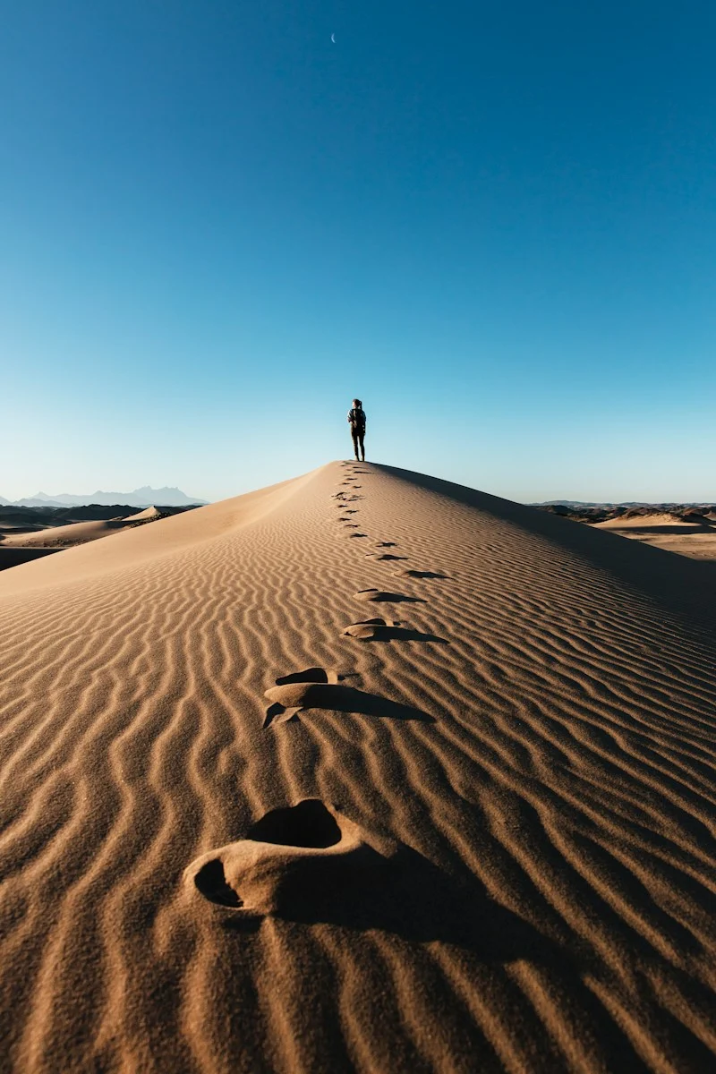 Expatrie : a person standing on top of a sand dune
