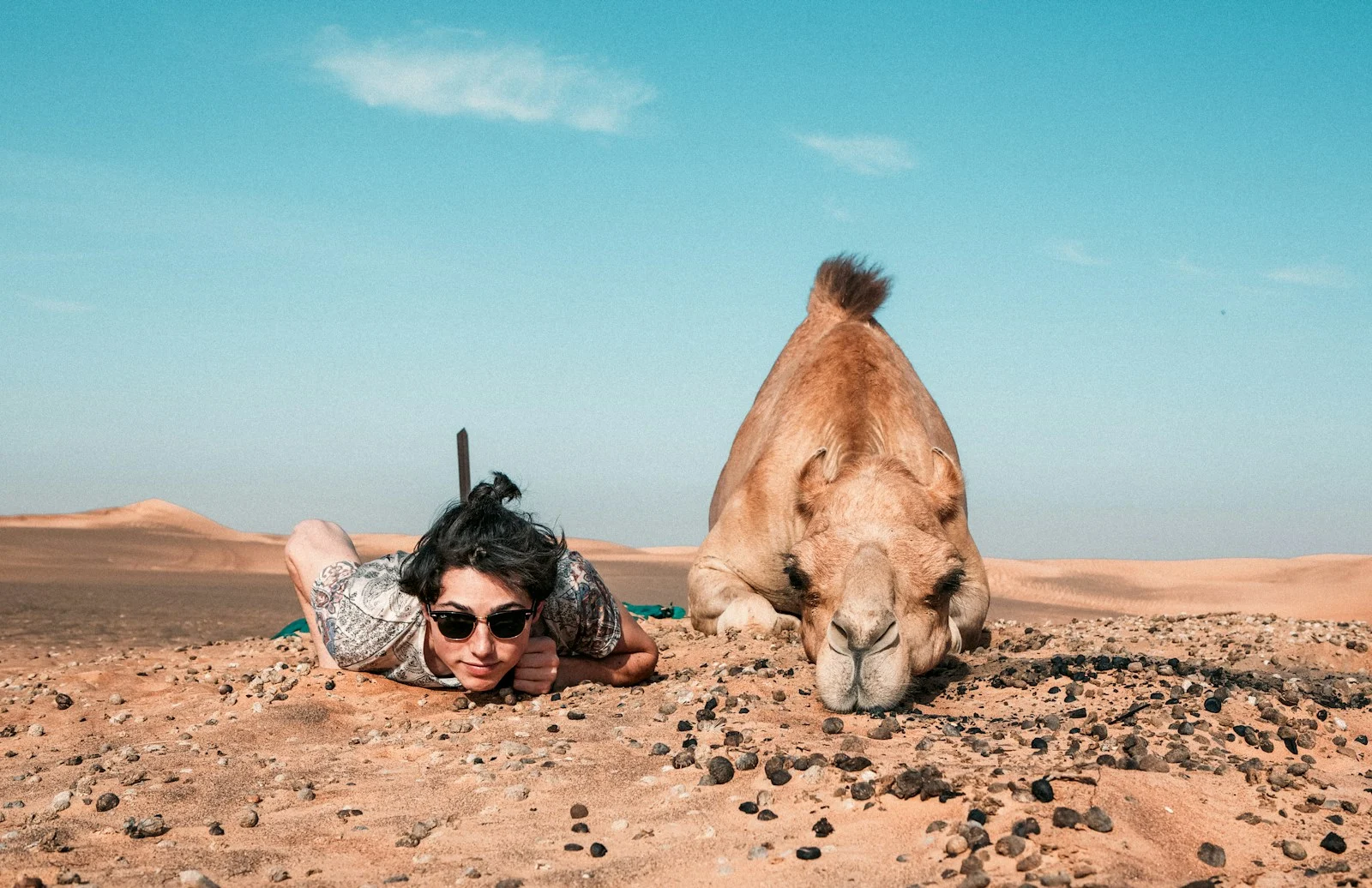 Expatrie : man and camel lying on ground