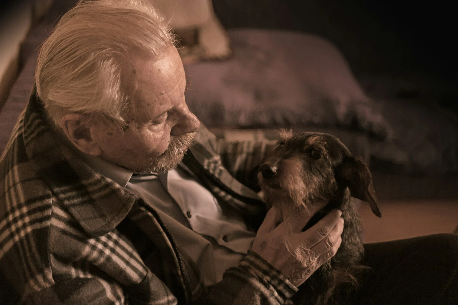Mutuelle Sante Senior : man in plaid jacket holding tan dog
